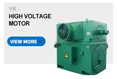 High Voltage Motor